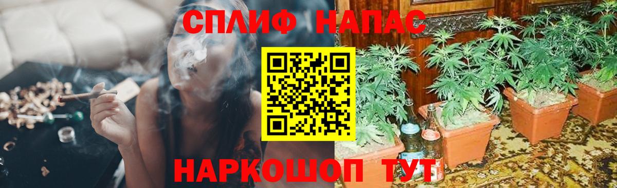 Бошки Шишки MAZAR Тюмень